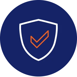 Licensed and Insured